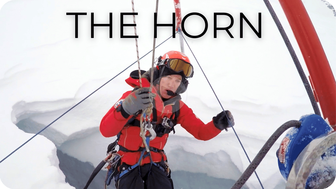 The Horn