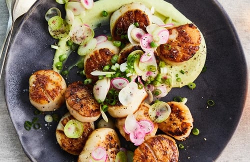 Seared Scallops Recipe