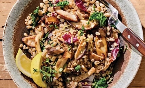 Barley Mushroom Salad