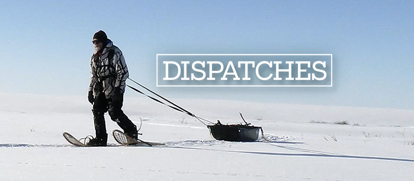 DispatchesArctic_FacebookBanner_820x360