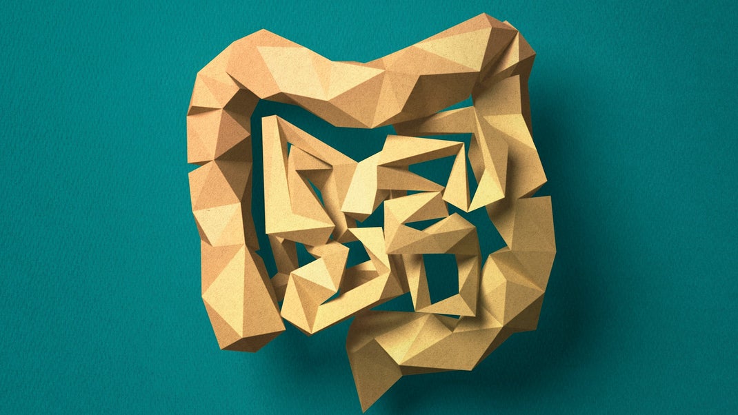 Prebiotics and Postbiotics. Read More. 