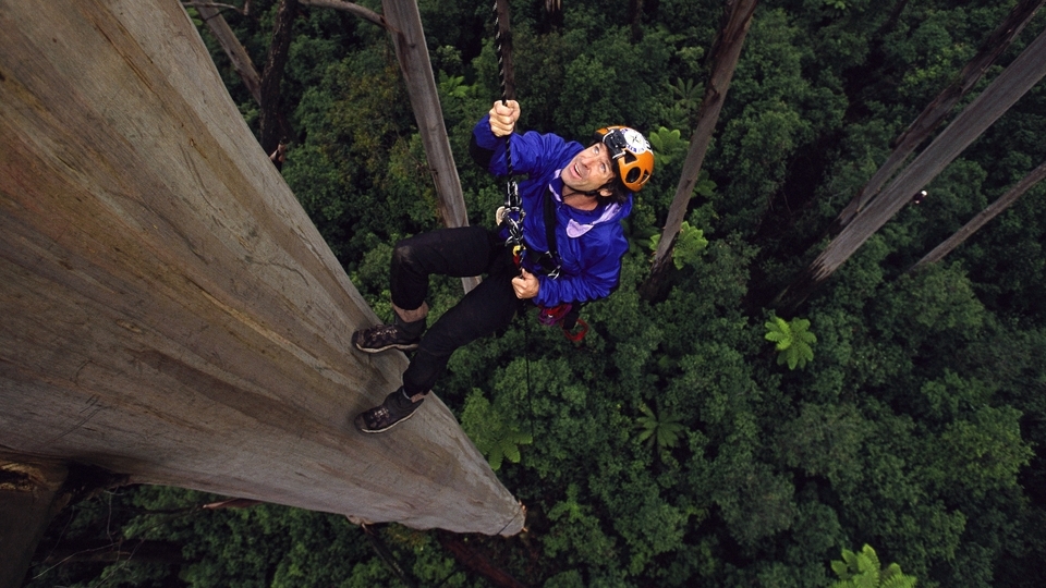 The Outside Festival's 2025 Film Lineup Is Its Best Yet