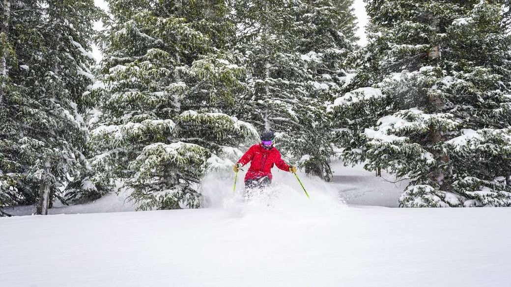 CM_Winter_New-Snow_1-2-25_HN-37-scaled-1