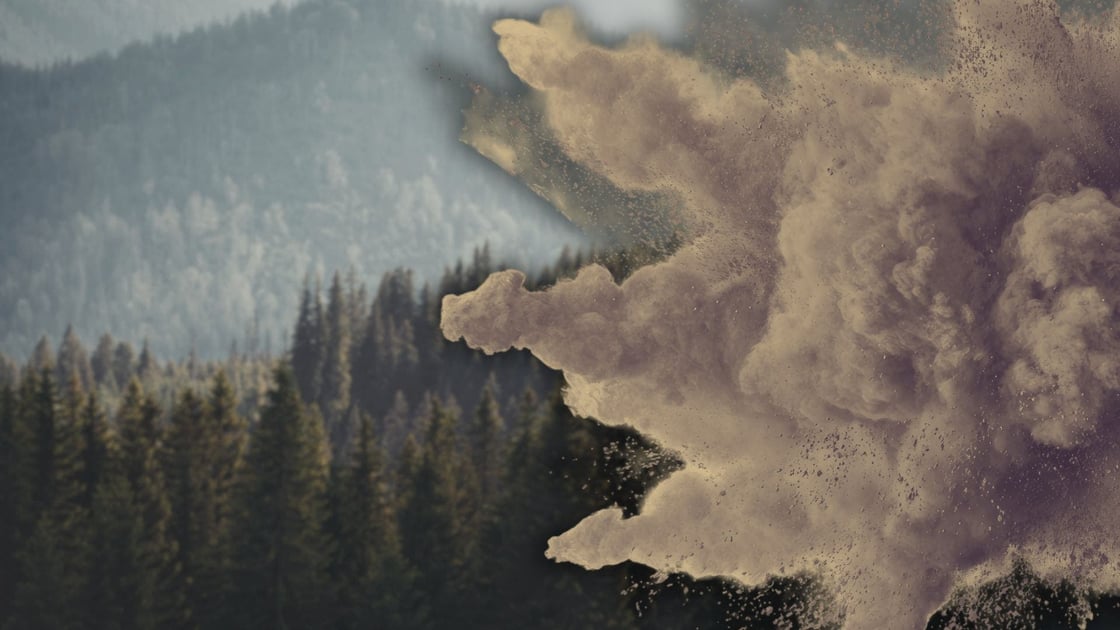 Copy-of-Untitled-Design-6-1