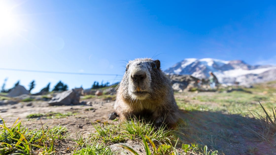 GettyImages-1449944429