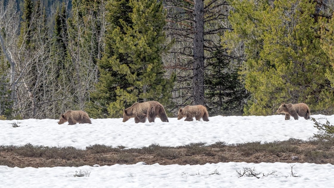 GettyImages-1490823134