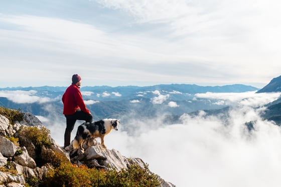Our Editors’ Favorite Outdoor Dog Adventure Tales