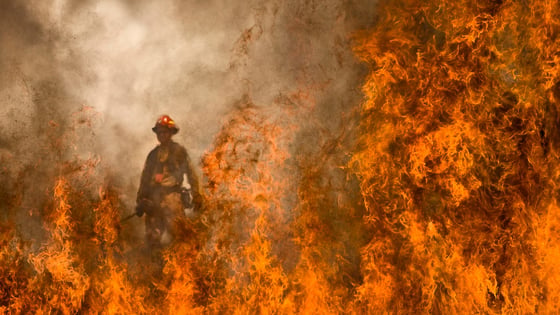 Wildfire Shelter
