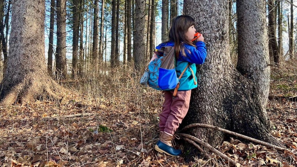 Hug-a-tree-4