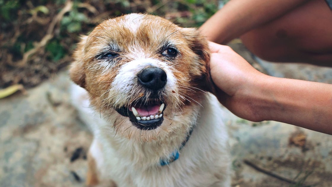 Untitled-design-17-3