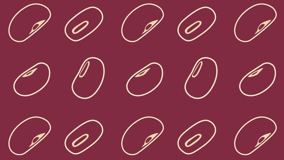 bean-background-horizontal-2