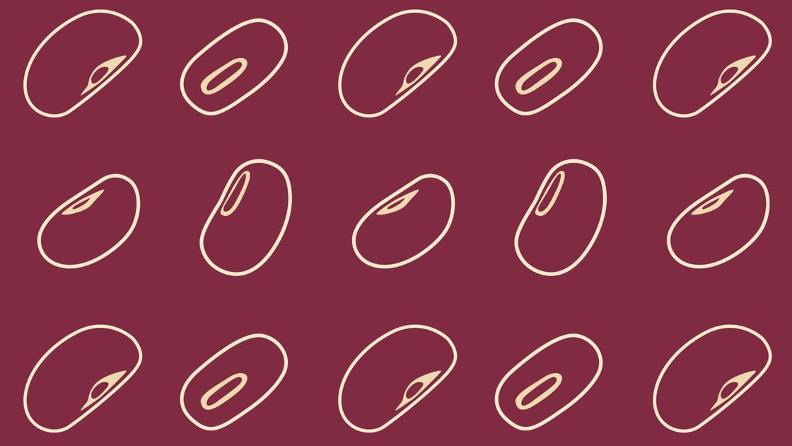 bean-background-horizontal-Apr-01-2026-12-49-19-0805-AM
