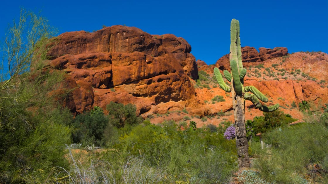 camelback-mountain