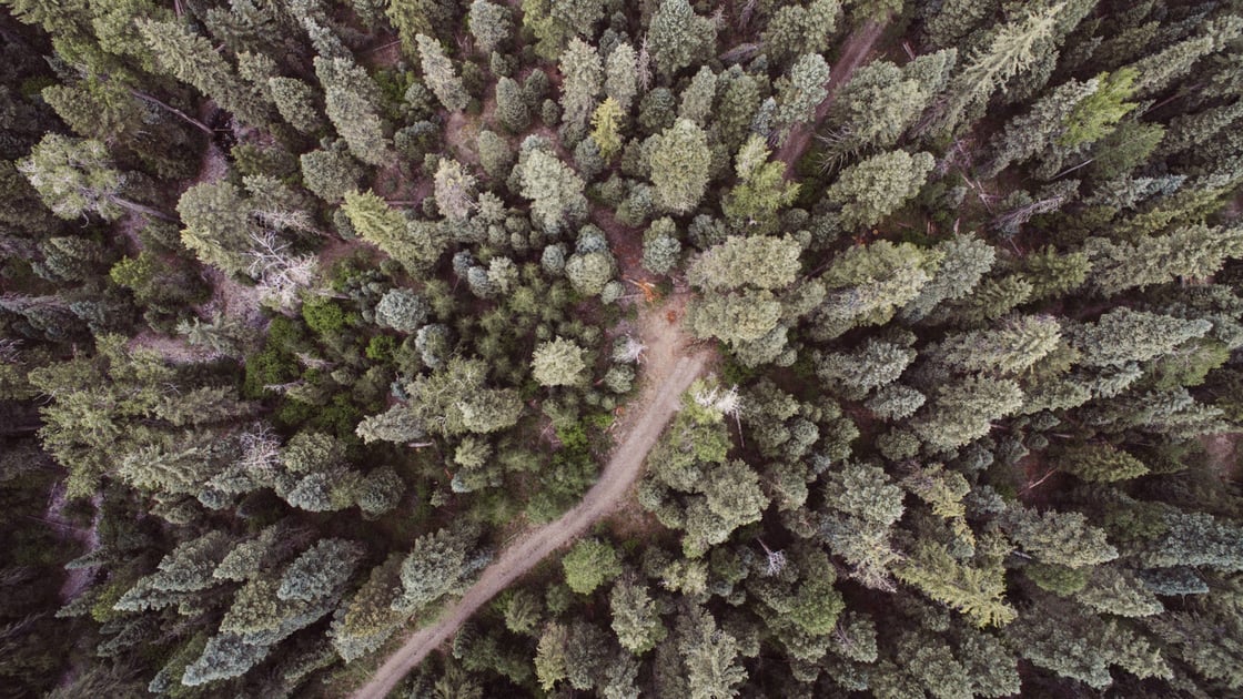 leave-no-trace-h-scaled-2