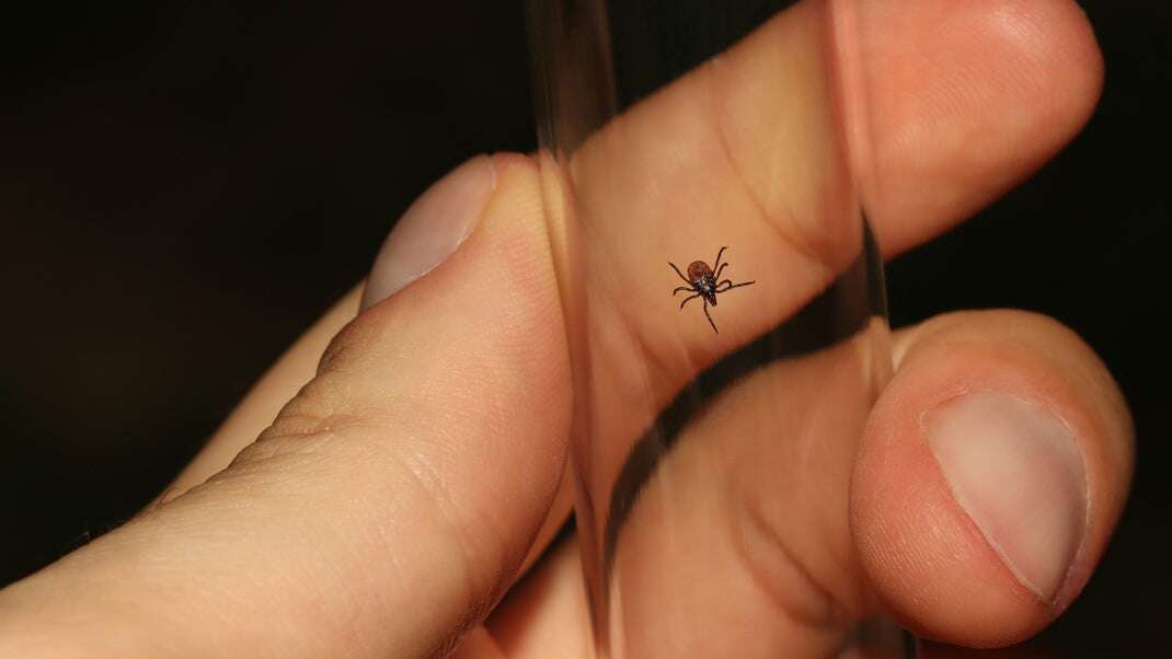 marino-linic-M_krTMIPSLg-unsplash