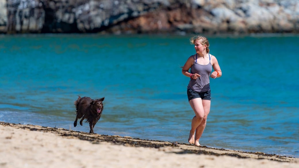 The Ultimate Guide to Running With Your Dog