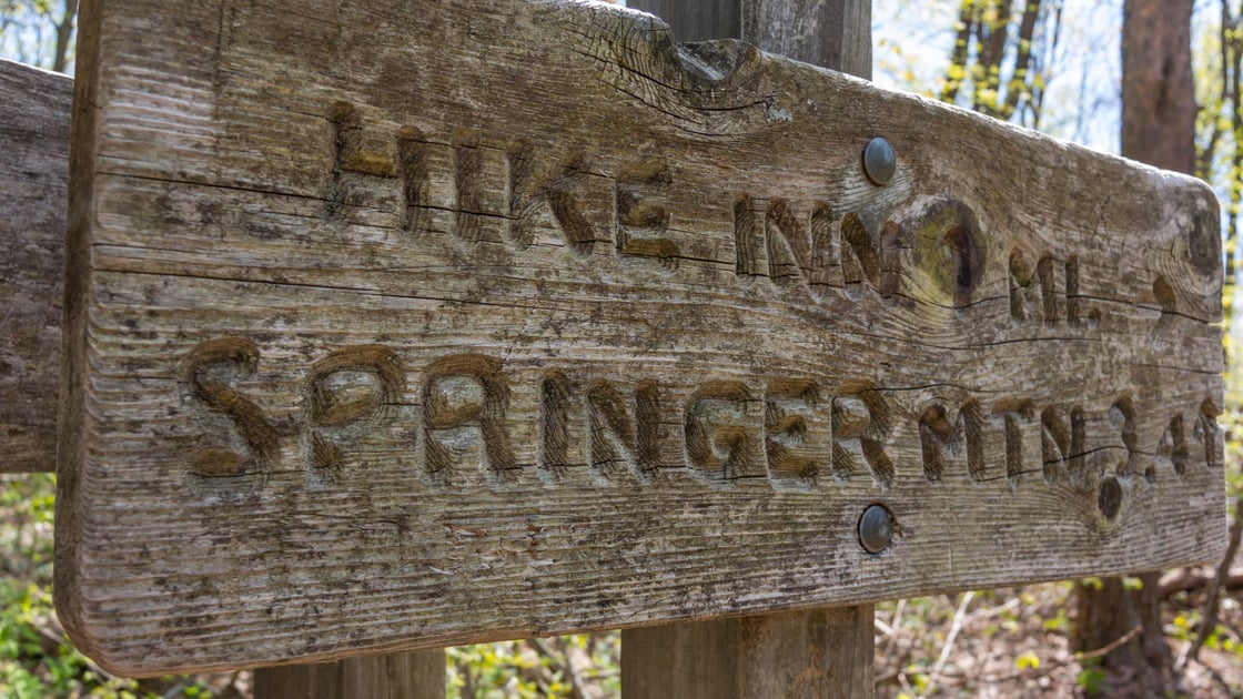springer-mountain-sign