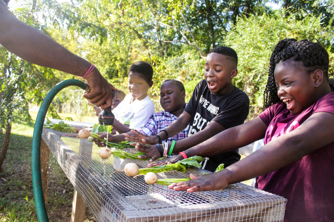 Kids washing turnips