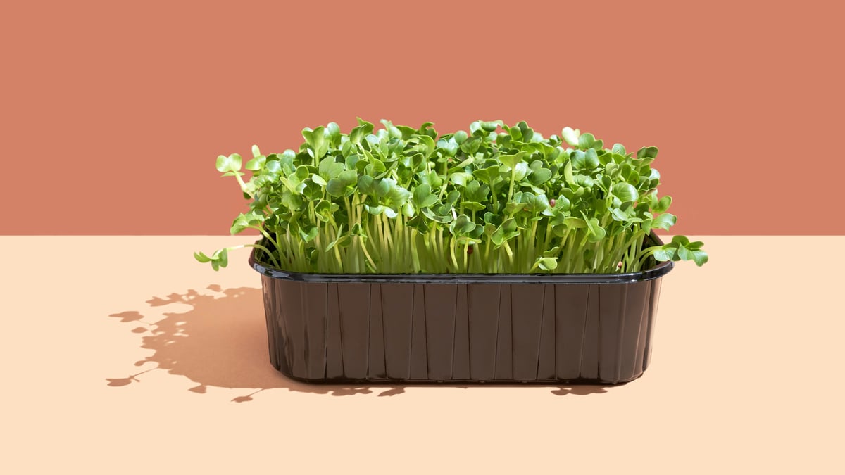 Green Veggies You Need to Eat. Read More. 