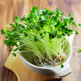 Microgreens