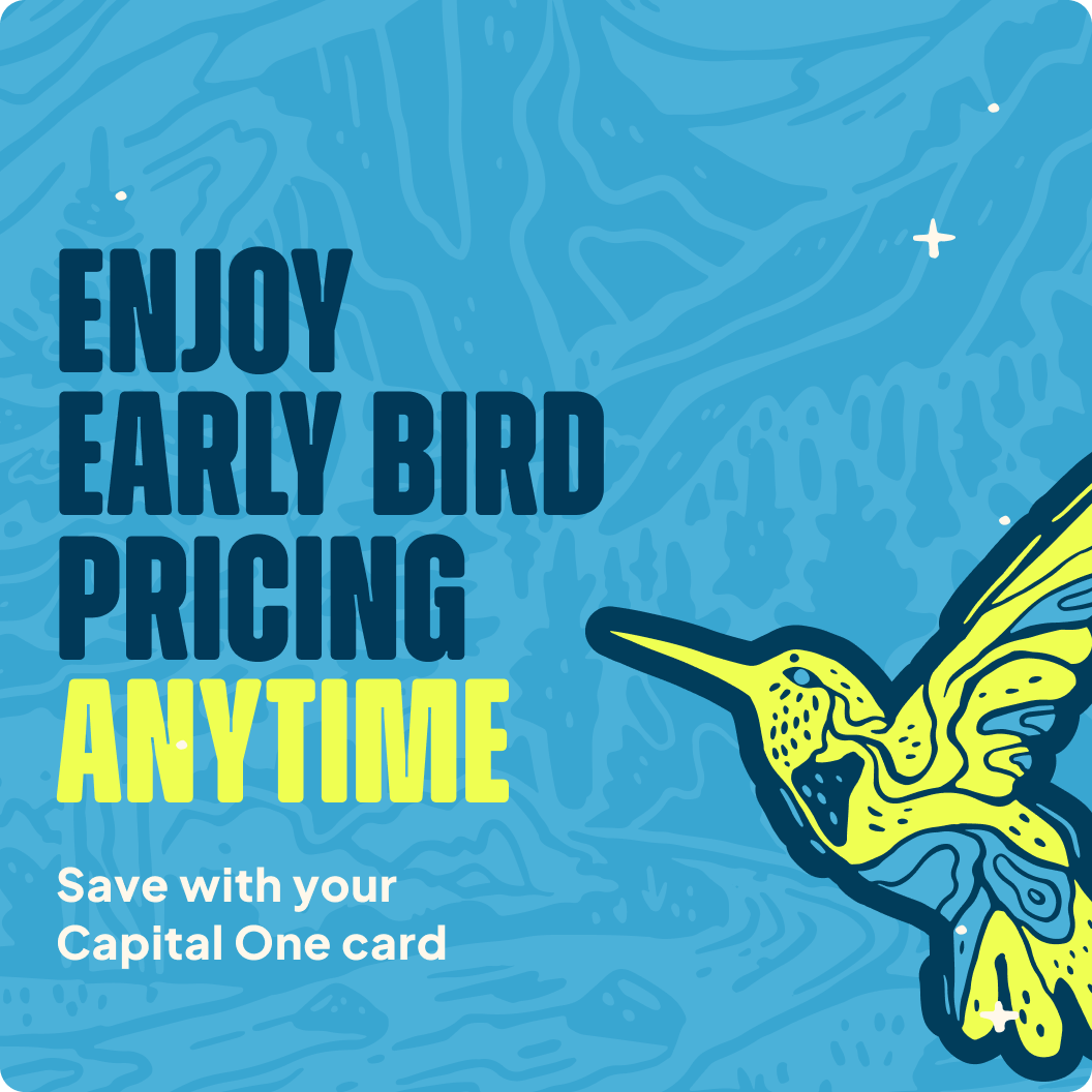 Early bird pricing