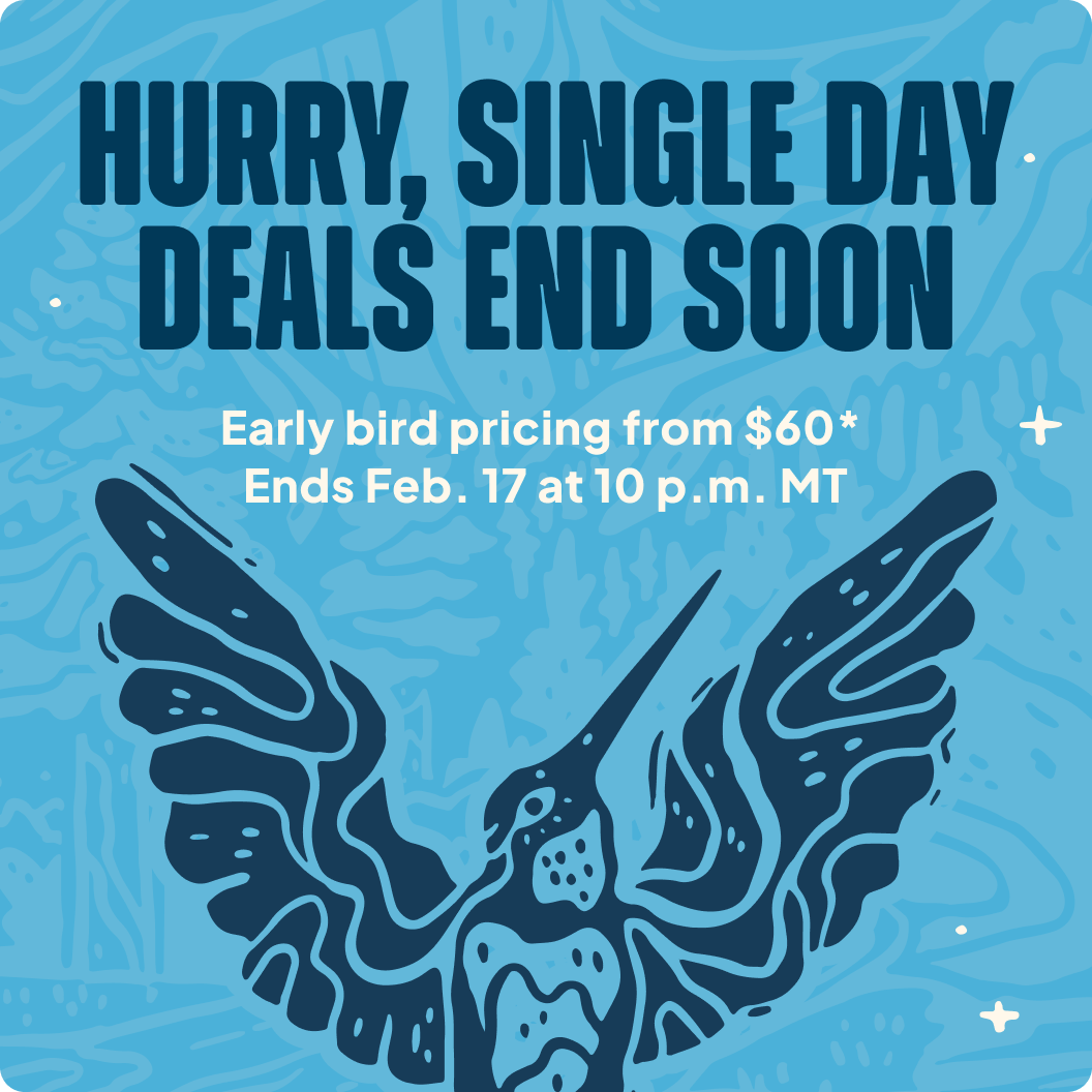 Single Day_Early Bird last chance@2x