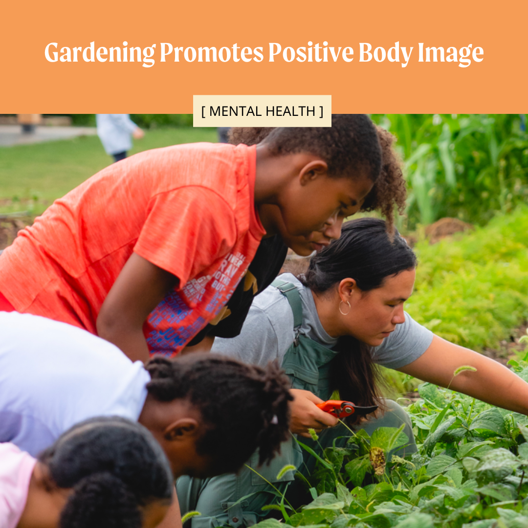Gardening Promotes Positive Body Image