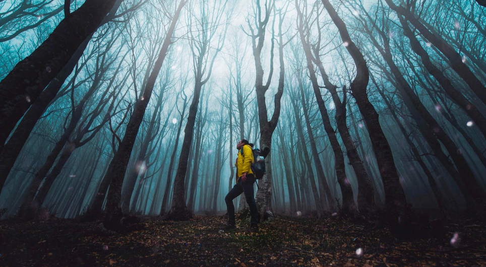 Screenshot 2025-10-27 at 12.22.02 PM