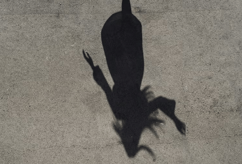 Screenshot 2025-12-01 at 11.05.24 AM