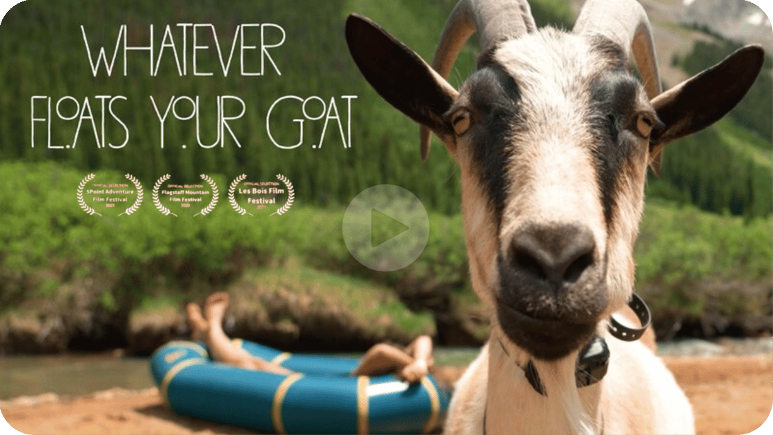 Living in a Van with Goats