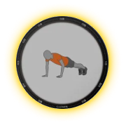 Animated Workouts